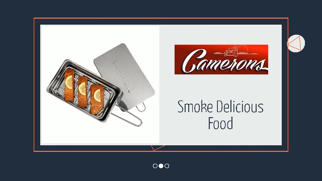 Camerons Gourmet Mini Stovetop Smoker - Stainless Steel BBQ Smoker Box w/Hickory Wood Chips & Recipes - For Indoor & Outdoor Use- Great for Smoking Meats - Barbecue Grilling Holiday Xmas Gift for Men