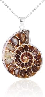Natural Ammonite Fossils Pendant Jewelry Silver Color Tone Ammonite Fossils Stone Wrapped Pendant Necklace Fashion JewelryNice and Fashion
