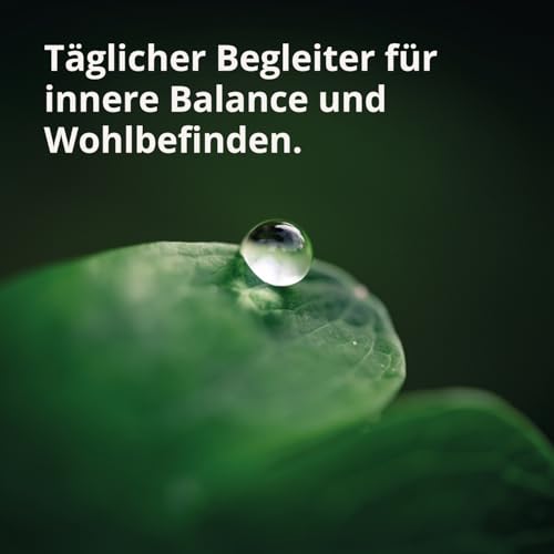 BodyFokus Clean Body Restart - Leber, Homocystein und Fettstoffwechsel - 60 Kapseln - made in Germany