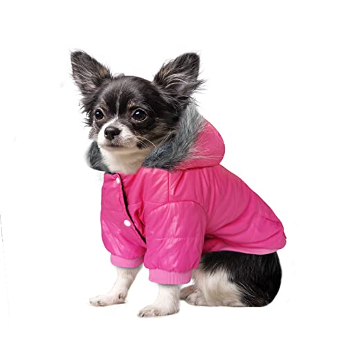 The Best Cat Leather Jacket 14 LESYPET Dog Coat Doggie Winter Coat for Small Medium Dogs ...