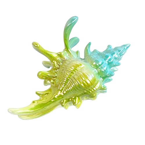 �J���t���ȃR���`�`���[���w�A�s�������O���b�v�w�A�N���b�v�ł̋x�ɂƃf�U�C�����]�[�g�w�A�A�N�Z�T���[�ł̖����̎g�p�̂��߂̃w�A�N���b�v