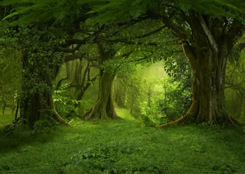Rayon de soleil décor jungle magique pour dissimuler un mur et réussir vos portraits
