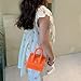 Canpto Crossbody Bag Mini Toddler Purse with Signle Handle for Little Girl Kids Cute Handbags Shoulder Messenger Bag (Orange)