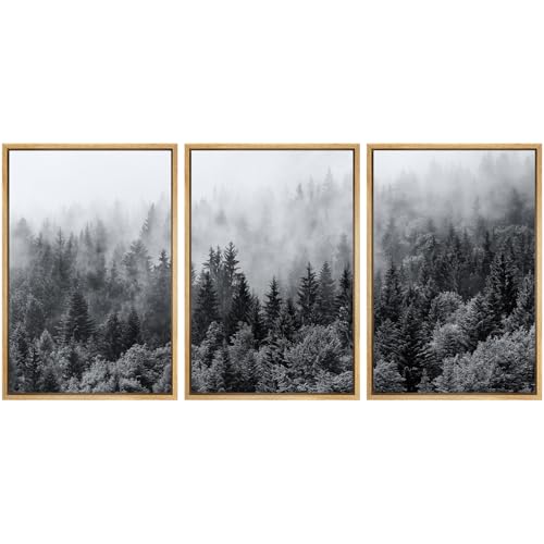 SIGNWIN Framed Canvas Print Wall Art Set Black & White Misty Mountain Forest Nature Wilderness Photography Modern Art Chic Landscape Relax/Calm for Living Room, Bedroom, Office - 16"x24"x3 Natural