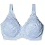 Wedgewood Blue