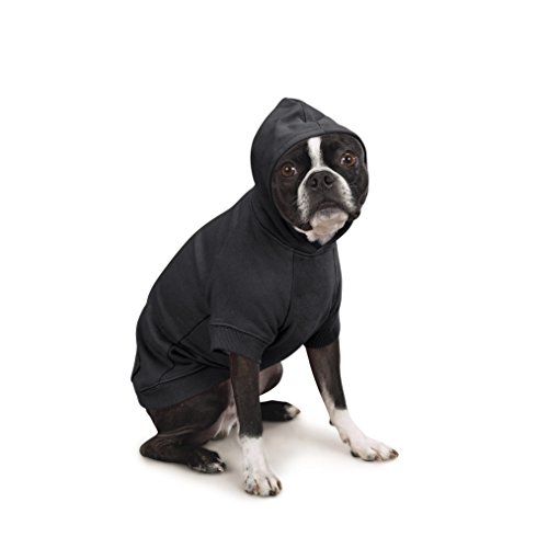 Zack & Zoey Basic Hoodie for Dogs 16 Inch Medium, Jet Black, M (Neck: 13", Girth: 22", Back: 16") - Image 2