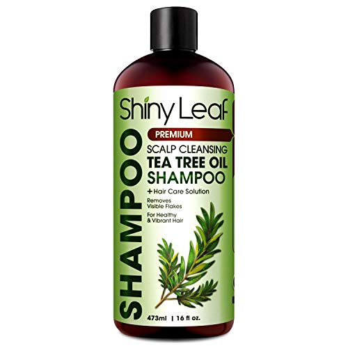 Tea Tree Shampoo with Scalp Cleansing Formula, Natural Anti-Dandruff and Head Lice Repellent, Featuring 100% Pure Tea Tree Essential Oil, For Itchy Dry Scalp, Paraben-Free, Sulfate-Free (16 Fl. Oz)