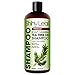 Tea Tree Oil Shampoo, Sulfate Free Anti-dandruff Shampoo with Essential Tea Tree Oil, Deep Cleansing Formula, Scalp Remedy for Soft and Smooth Hair, Gets Rid of Head Lice (16 oz)