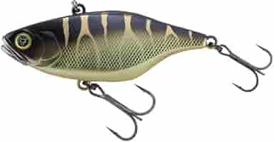 Amazon.co.jp: JACKALL(ジャッカル) TN80 RBシャンパンタイガー