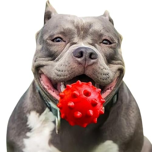 Brinquedo Para Cães Bola Grande Maciça Extra Forte 70mm Cachorro Grande Brinquedo Hard (Vermelho)
