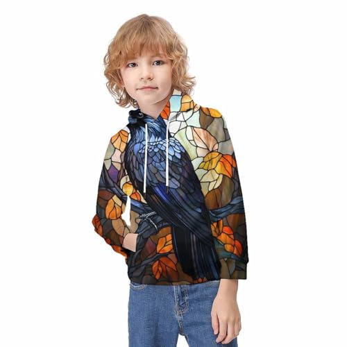 Sweat à capuche enfant corbeau vitrail fini les vêtements ternes 9-11 ans