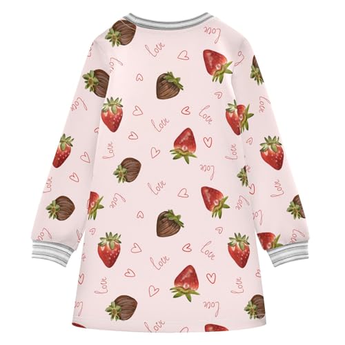 Berry Chocolate Girls Dresses Long Sleeve Sweatshirt Dress for Girls Winter Toddler Casual A Line Dresses Size 2-8T2