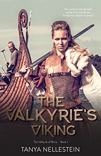 The Valkyrie's Viking - The Valkyrie of Birca Book 1