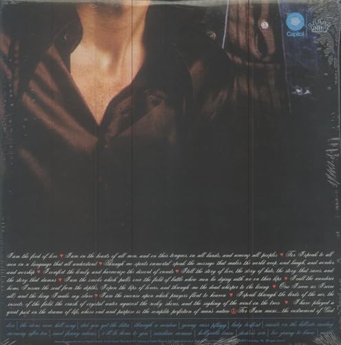 A Gift From Euphoria image 4