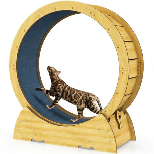 Cat Exercise Wheel for Indoor Cats - Cat Treadmill Wheel