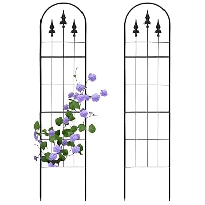 LATIHUUM 2 Pack 57.8" H x13 W Garden Trellis for Climbing Plants Outdoor, Rustproof Arched Metal Rose Trellis for Outdoor Indoor Roses Clematis Potted Climbing Plants Vines Flowers Decorative, Black