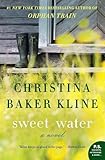 Sweet Water: A Novel (P.S.)