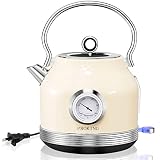 PROKING Bouilloire Électrique Acier Inoxydable en 1.7L , Vintage Rétro avec Thermomètre Ebullition Rapide 2200W Protection Contre L'ébullition à Sec(Blanc)