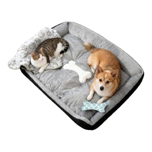 Nankoyal ybgxbh,ѕz t  ybg pi,_炩 vbV \t@ ^  p xbh | q L ^ ^ ^ ybg  rO oRj[  Ap[g ~ H p