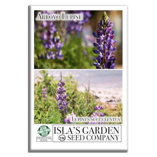 Arroyo Lupine Flower Seeds (Lupinus succulentus) – 100 Non-GMO & Heirloom Seeds by Isla's Garden Seeds, Tall Purple-Blue Spikes, Pollinator-Friendly Wildflower, Cool-Season Garden Favorite, Gift Idea