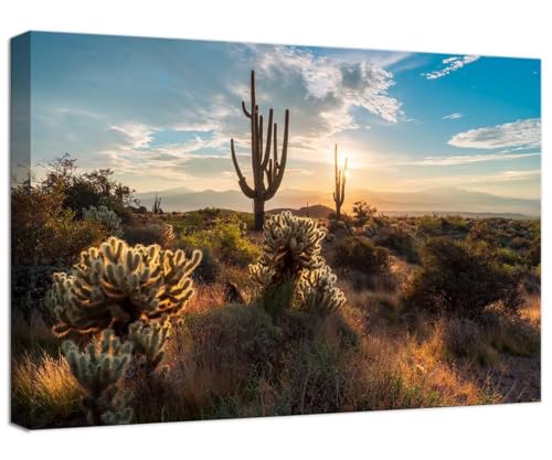 Toile murale de salon paysage coucher de soleil McDowell Sonora cadre inclus