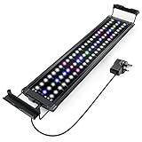 🐠oo [Promover el crecimiento] Las luces LED para peces benefician el crecimiento de las plantas acuáticas y también crean efectos especiales de iluminación y ambiente para mostrar los colores vivos de las plantas acuáticas y los peces.