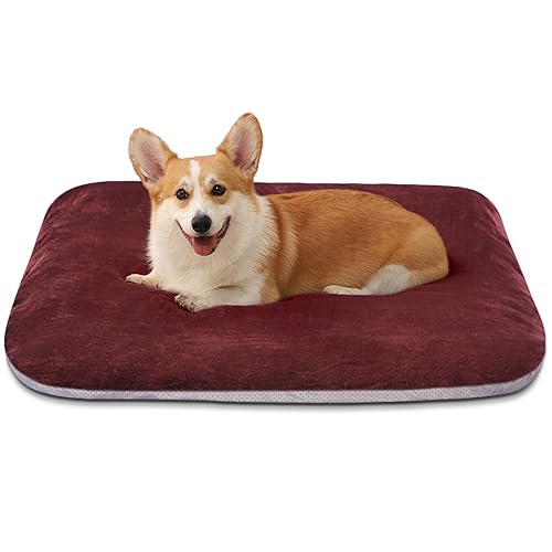 Image of Magic Dog Orthopedic Medium Dog Bed 32 Inch, Super Soft Small Pet Bed