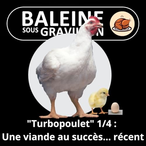 S05E63 Le "Turbopoulet" 1/4 : Un succ&egrave;s mondial... r&eacute;cent (Axelle Playouste-Braure)