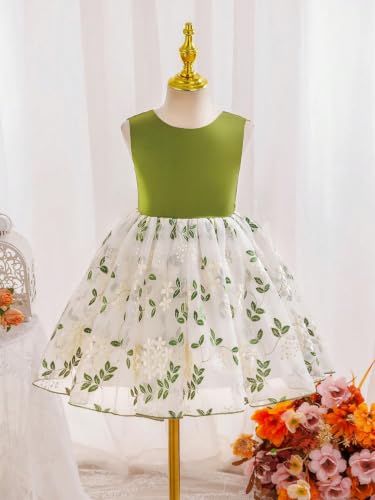 Image of Tagas Girls' Princess Dress | Girl Dress |Dresses birthdaydress for Babygirls | A-Line Knee-Length Dress