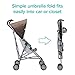 Disney Baby Winnie-the-Pooh Umbrella Stroller with Canopy (My Hunny Stripes)