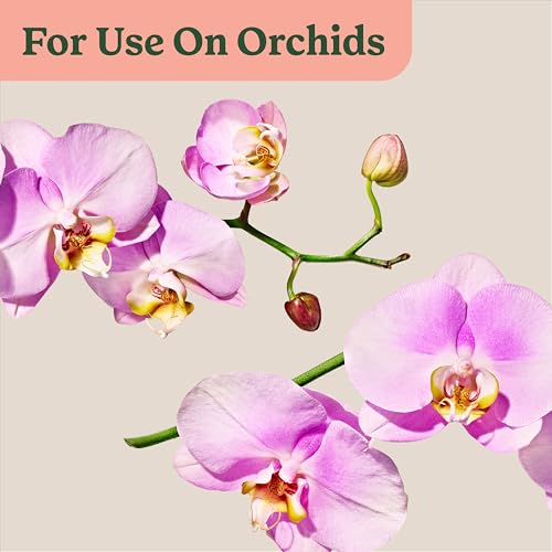 Miracle-Gro Indoor Plant Food Mist for Orchids, 8 fl. oz. (2-Pack) - image 8