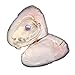 JNMM Freshwater Pearl Oyster Cultured Love Wish Round Pearls Various 10 Shining Meaningful Color, Oysters with Pearls Inside (6-8mm, 10 PCs/lot)