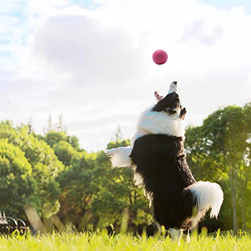 Magicorange Tennis Balls, 12 Pack Advanced Training Tennis Balls Practice Balls, Pet Dog Playing Balls, Come With Mesh Bag For Easy Transport, Good For Beginner Training Ball (Pink) #TOP3