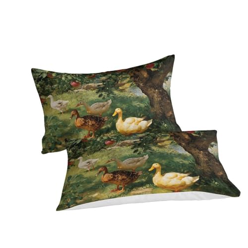 Houssette canards 220x240 parure lit microfibre rétro avec 2 taies