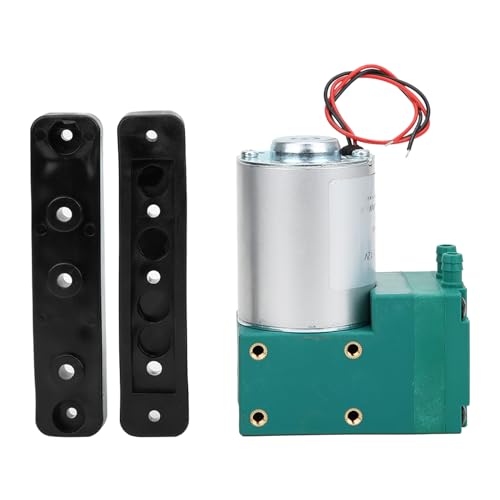 Mini Vakuumpumpe mit Großem Volumenstrom, 12W, 10L / min, Niedriger Geräuschpegel, DC12V / DC24V / AC220V - Stabile Leistung, Einfache Installation, Für Haus und Werkstatt (DC12V)