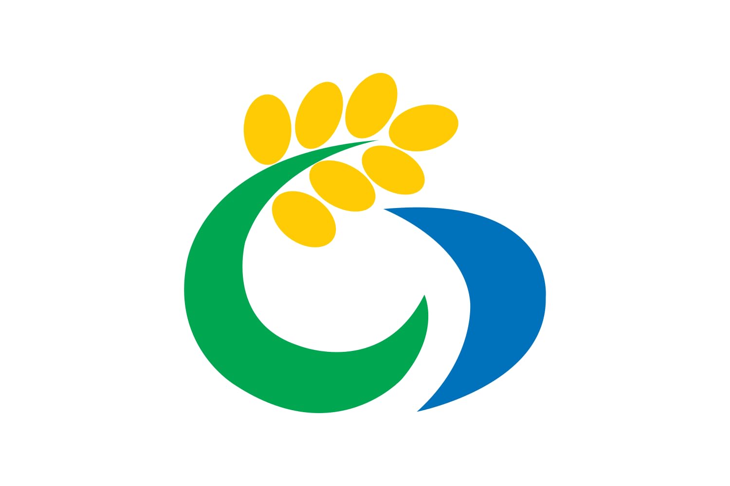 Drapeau Isa Kagoshima grand format étendard extérieur Japon Kyūshū
