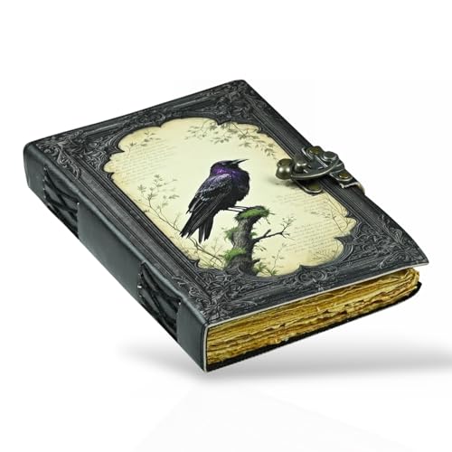 Journal gothique effrayant en cuir corbeau livre des ombres