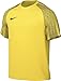 Produktbild NIKE Herren M NK DF Academy JSY SS T-Shirt, Tour Yellow/Black/Black, XL