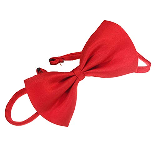 HshDUti Haustier-Fliege mit verstellbarem Halsband, einfarbig, verstellbar, für kleine, mittelgroße und große Hunde, Welpen, Katzen, für Party, Hochzeit, Geburtstag, Rot