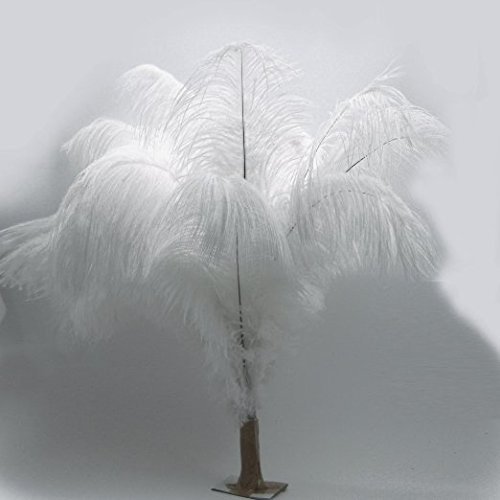 Kolight®20Pcs Ostrich Feather White 12"-14" Natural Feathers Wedding, Party,Home,Hairs Decoration #TOP1