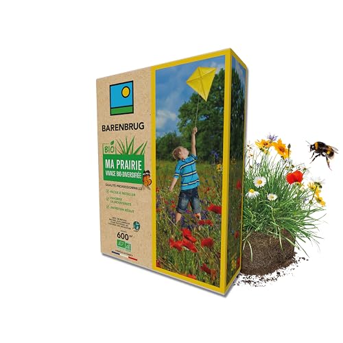 BARENBRUG - Prairie Vivace Biodiversifiée BIO - Facile à Installer - Favorise la Biodiversité - Entretien Réduit - Refuge Naturel Animaux pour Protection...