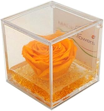 Yellow Rose, Real Flower, Perfumed, Stabilized, Eternal, Gift Idea, Valentine's Day, Women, Christmas, Party, Mom, Wife, Girlfriend, Anniversary, Confirmation, Ceremony, Cubotto 8 x 8 cm, Elegant