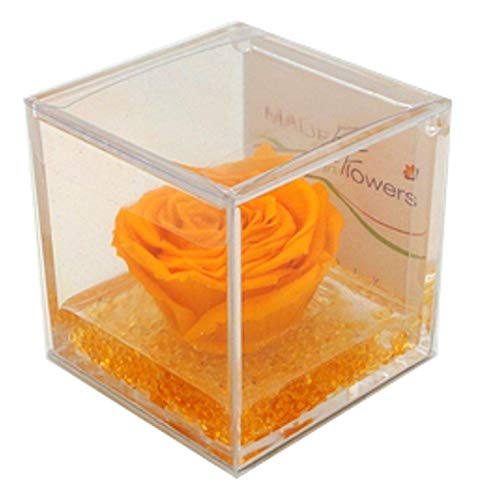 yellow rose stabilized, infinite purity, plexiglass cube, size 8x8x8 (cm), gift