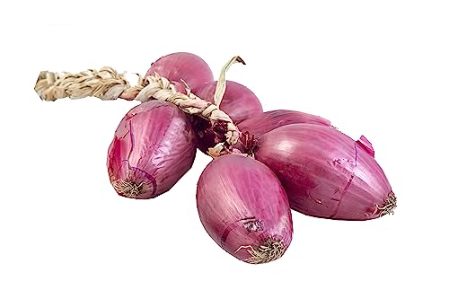 Cipolla Rossa di Tropea IGP 500 Gr