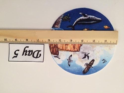 6" Creation Circles Felt Figures for Flannel Board Bible Stories-precut