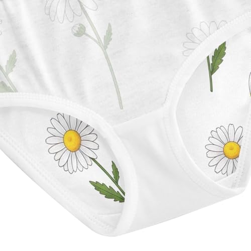 Toddler Girl Briefs, White Daisies Flowers Girls Cotton Underwear, 2–8 Years4
