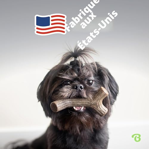Jouets à mâcher Benebone pour chien taille M pack de 4 formes