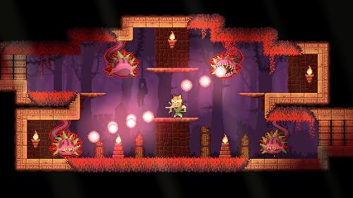 Dunjungle Premium Edition Nintendo - vue 9