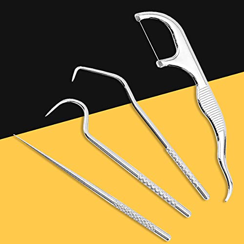 Toothpicks Pocket Set Reusable Dental Floss Picks Kit Stainless Steel Teeth Cleaning Tools Flossers for Adults Tooth Picker Oral Hygiene Travel (2 Set)