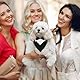 Formales Hunde-Smoking-Bandana, Hund Smoking Bandana Halsband, Hund Tuxedo Baumwolle Bandana Hundehalsband, Formale Hochzeit Party Hundehalstuch, Verstellbar Krawatte Haustier Anzug Fliege Bandana, L